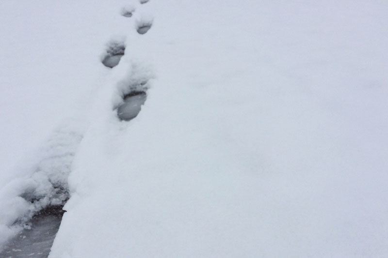 雪野中の靴の足跡